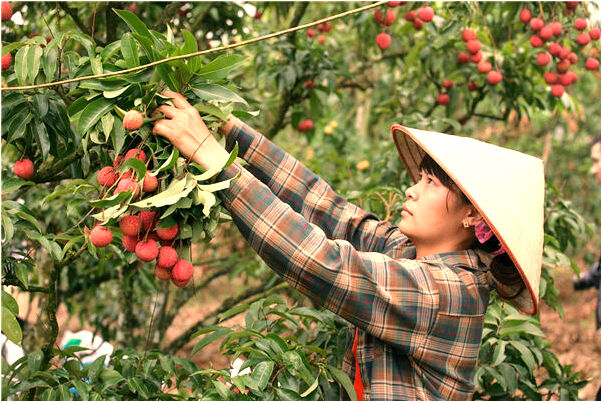 夢到故人給故人洗澡是怎么回事_周公解夢官網