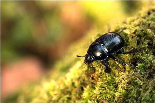 夢到找自己的小孩怎么說_周公解夢官網