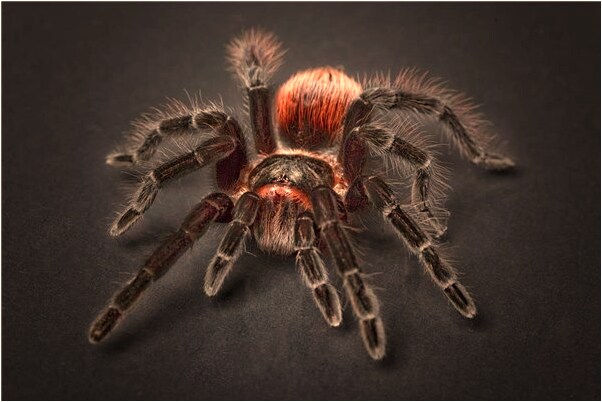 夢見見過一次面的男人化妝代表著什麼？_周公解夢官網