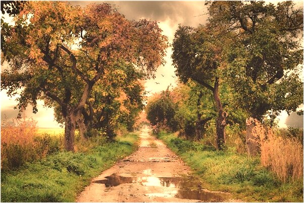 夢到包里錢少了是凶兆還是吉兆_周公解夢官網