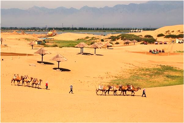 夢見我很多南瓜意味著什麼_周公解夢官網