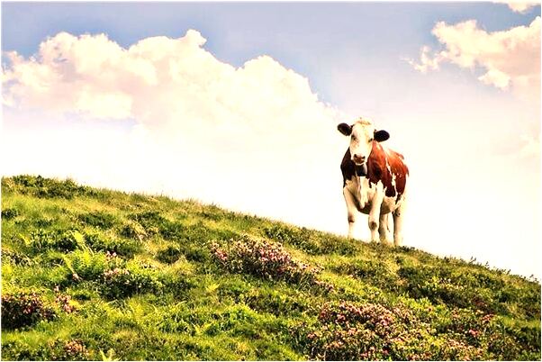 夢到了死去的爸爸在家病了是怎么回事_周公解夢官網