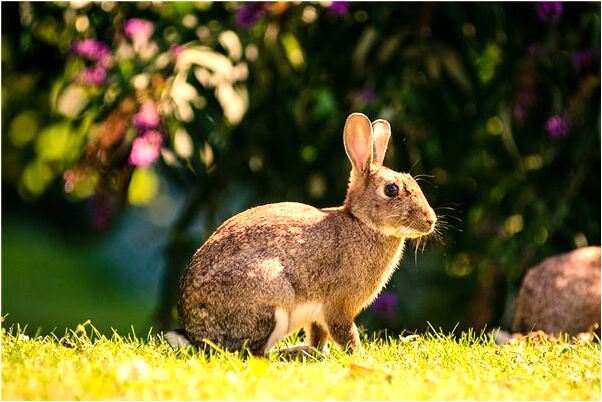 夢見夢被兩個人帶走有什麼徵兆_周公解夢官網