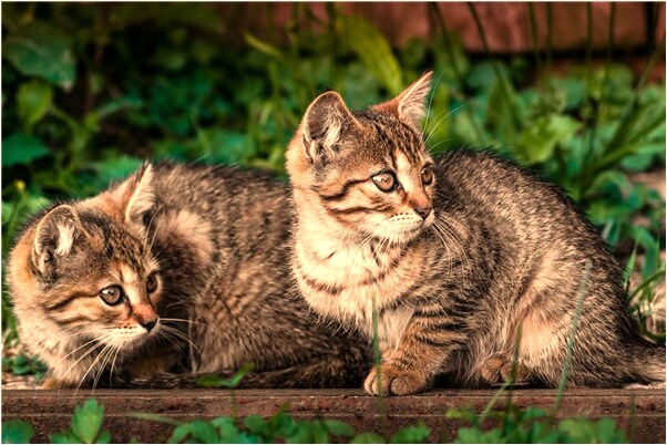 夢到同事父親去世有何寓意_周公解夢官網