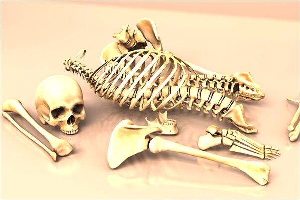 夢到自己在夢裡哭有什麼預兆_周公解夢官網