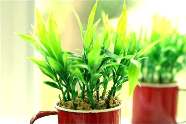 夢到欠我錢的人的預兆_周公解夢官網