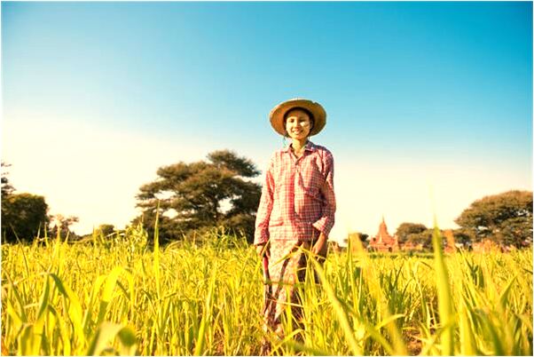 夢到了和男明星做愛意味著什麼_周公解夢官網