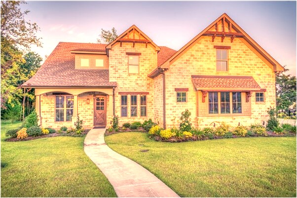 夢到了貓被自己扔爐子裡燒死會是什麼預兆_周公解夢官網