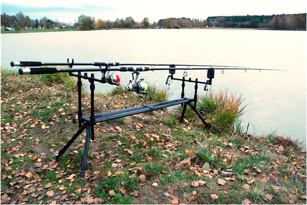 夢到蟑螂在牆上怎么說_周公解夢官網