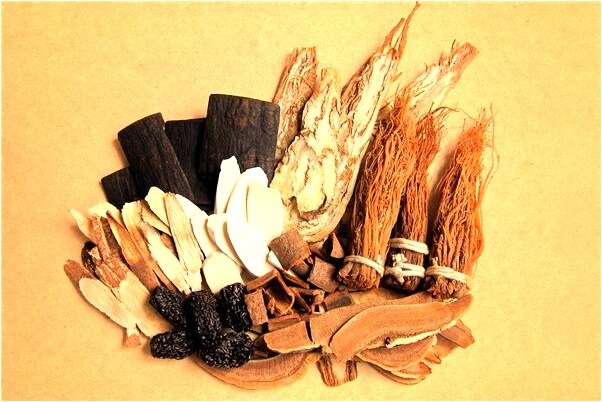 夢到狼變成人追我有什麼預兆_周公解夢官網