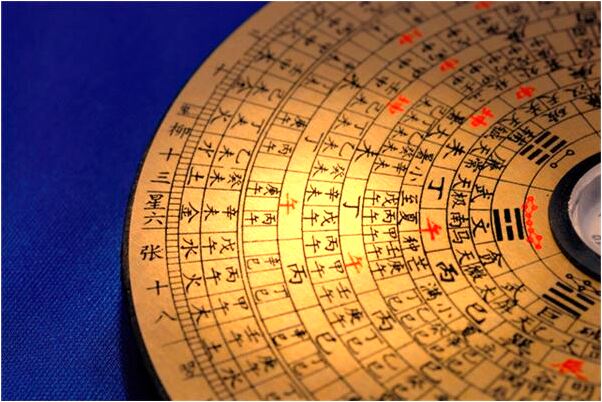 夢到了皮包里有蟾蜍意味什麼_周公解夢官網