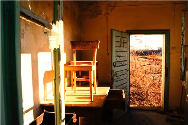 夢到了蟒蛇意味著什麼是什麼徵兆_周公解夢官網