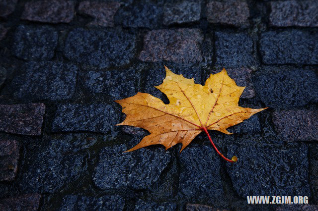 夢見去世的外婆說話_周公解夢夢到去世的外婆說話是什麼意思_做夢夢見去世的外婆說話好不好_周公解夢官網