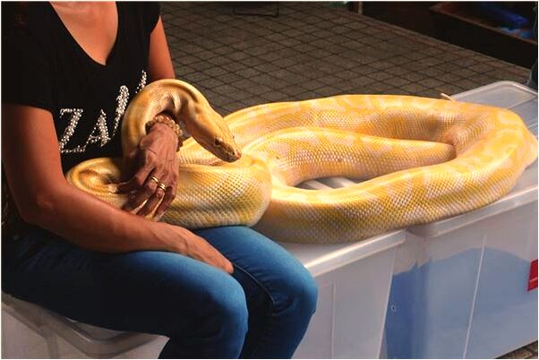 夢見為戀人打掃房間有什麼意義嗎_周公解夢官網