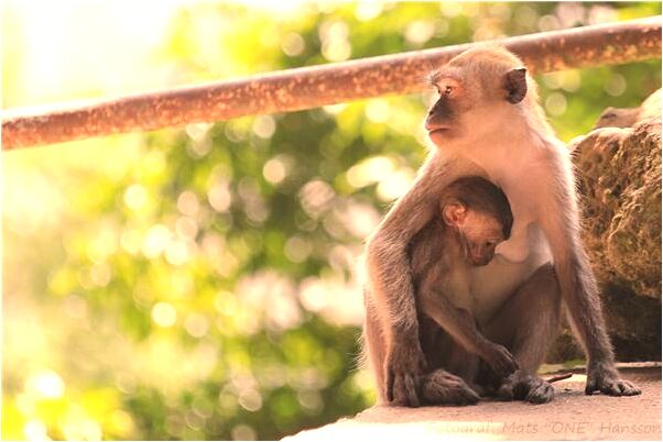 夢到了佛祖光照在臉上是啥預兆_周公解夢官網