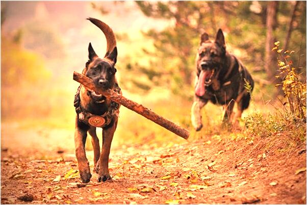 夢到眼珠掉下來卻沒有流血有什麼寓意嗎？_周公解夢官網