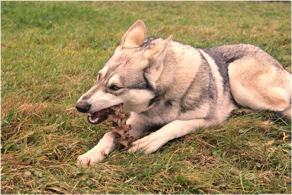 夢見朋友家辦喜事有什麼意思嗎_周公解夢官網
