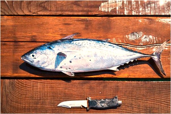 夢到睡在樹林會有什麼預兆_周公解夢官網