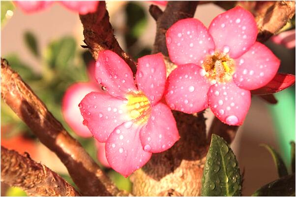 夢到了被殺有人救了我是好的徵兆嗎_周公解夢官網