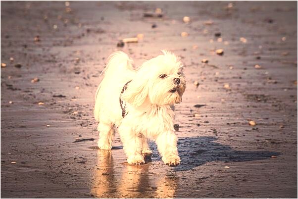 夢到老公和別的女人生孩子會是什麼預兆_周公解夢官網