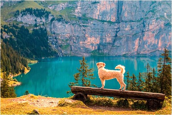 夢見別的男人上我的床是怎么回事_周公解夢官網