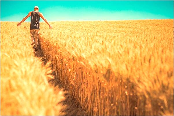 夢到了自己的雙手掌心脫皮是什麼意思_周公解夢官網