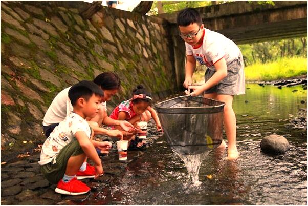 夢見分錢和死人意味著什麼_周公解夢官網