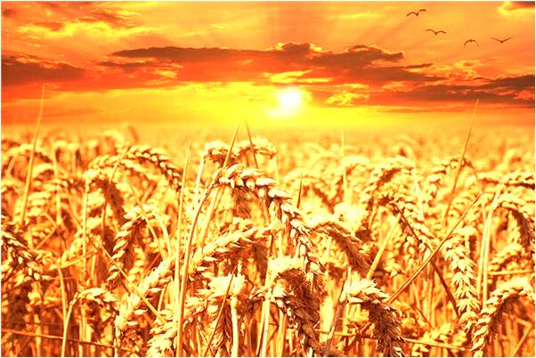 夢見在建的房屋倒塌是什麼意思_周公解夢官網