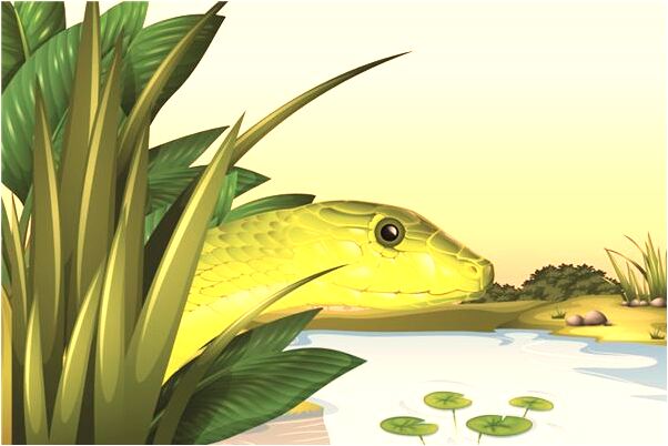 夢見騎小腳踏車有什麼預示嗎_周公解夢官網