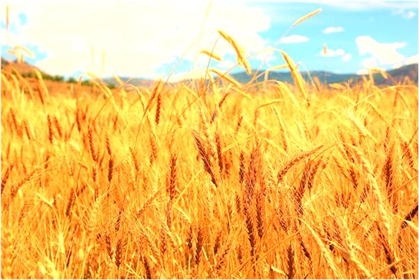 夢到了妻子跟別人光著身體是什麼預兆_周公解夢官網