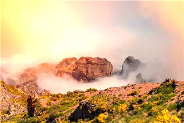 夢到了夢幻自己回道了國小時光是什麼兆頭_周公解夢官網