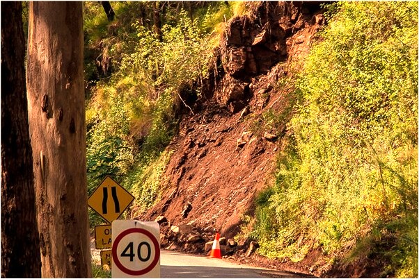 夢見一群雞從窗戶跳進屋裡會怎么樣_周公解夢官網