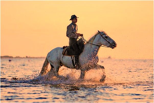 夢到被老人強吻是什麼徵兆_周公解夢官網