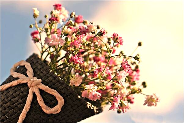 夢見蛇咬腳板有什麼寓意嗎?_周公解夢官網