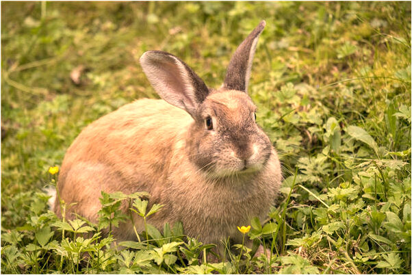 夢到心愛之人和妹妹在一起是怎么回事_周公解夢官網