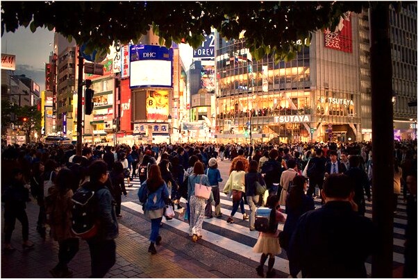 夢到把蔬菜上的大蟲砍死預示什麼_周公解夢官網