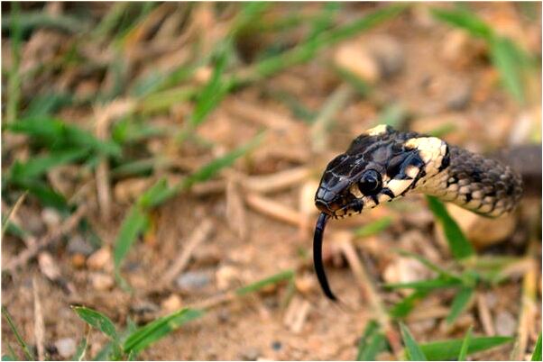 夢見老公很關心別人是怎么回事_周公解夢官網