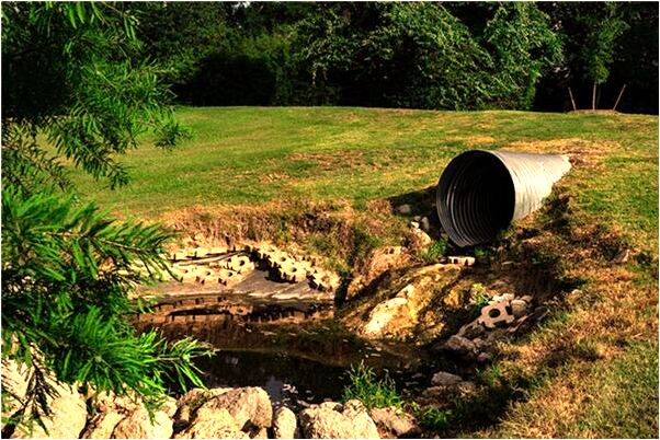 夢到洗假牙是好的徵兆嗎_周公解夢官網