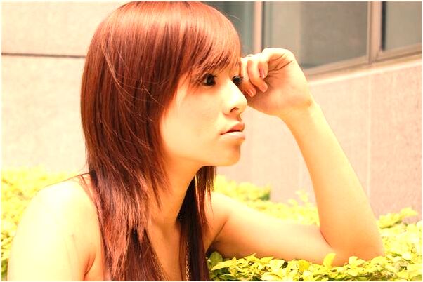 夢到了消滅臭蟲有什麼寓意嗎？_周公解夢官網