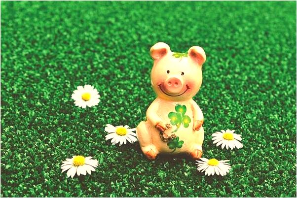 夢到了別人在追我喜歡的女孩有什麼徵兆_周公解夢官網