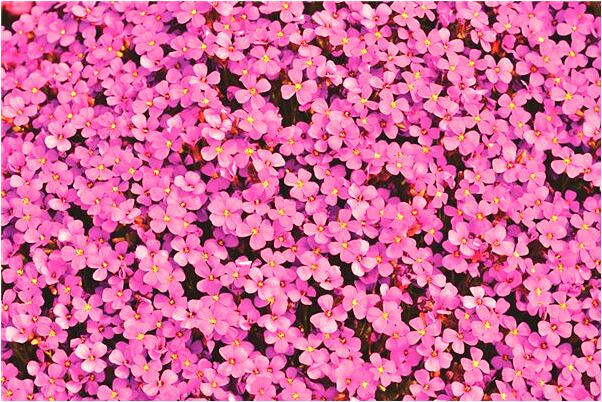 夢到五彩橋怎么樣_周公解夢官網