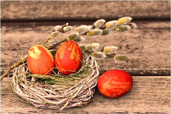 夢到了血鑽野燕麥健力片是什麼徵兆_周公解夢官網