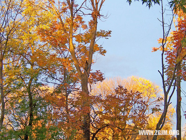 夢見抱個小孩_周公解夢夢到抱個小孩是什麼意思_做夢夢見抱個小孩好不好_周公解夢官網