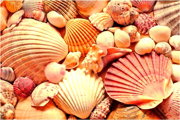 夢到了與女人抱會是什麼預兆_周公解夢官網