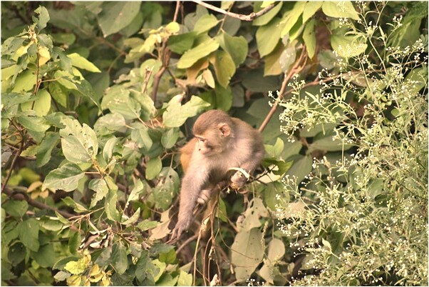 夢到歷史人物預兆了什麼嗎_周公解夢官網