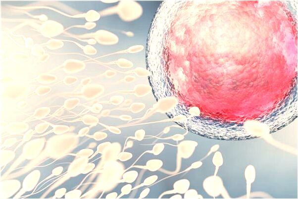 夢到男朋友喜歡自己朋友了是好事還是壞事_周公解夢官網