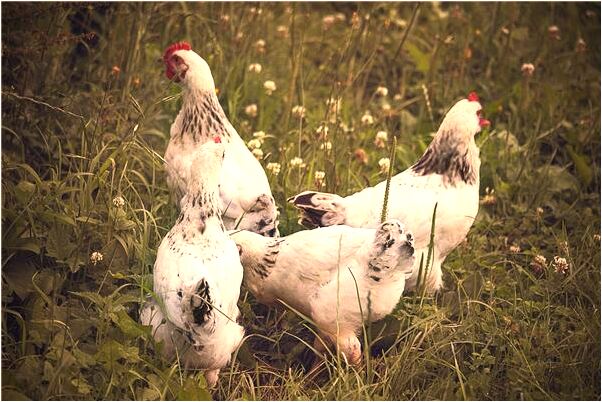 夢到被心愛的人拒絕代表著什麼_周公解夢官網