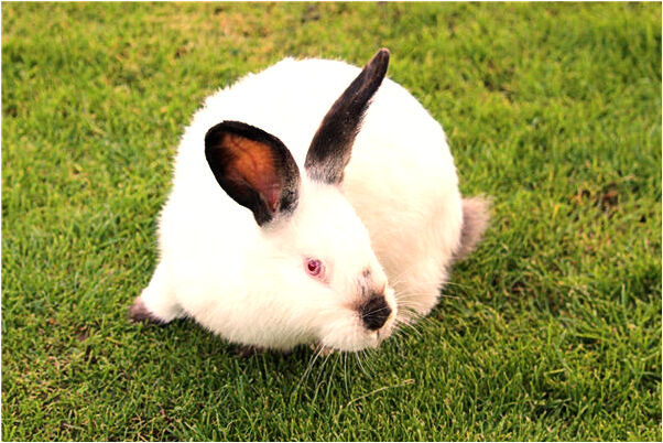 夢見考題簡單是啥預兆_周公解夢官網