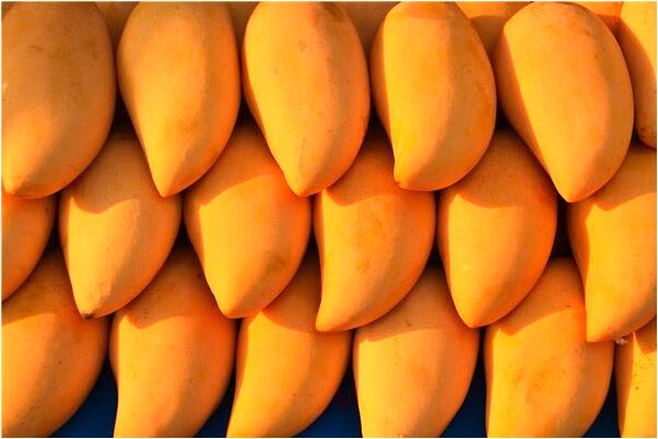 夢到自己的男人長鬍子意味著什麼_周公解夢官網