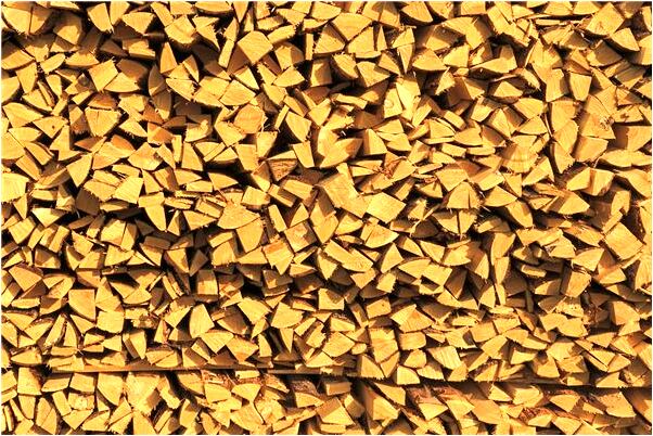 夢到運動會有何寓意_周公解夢官網